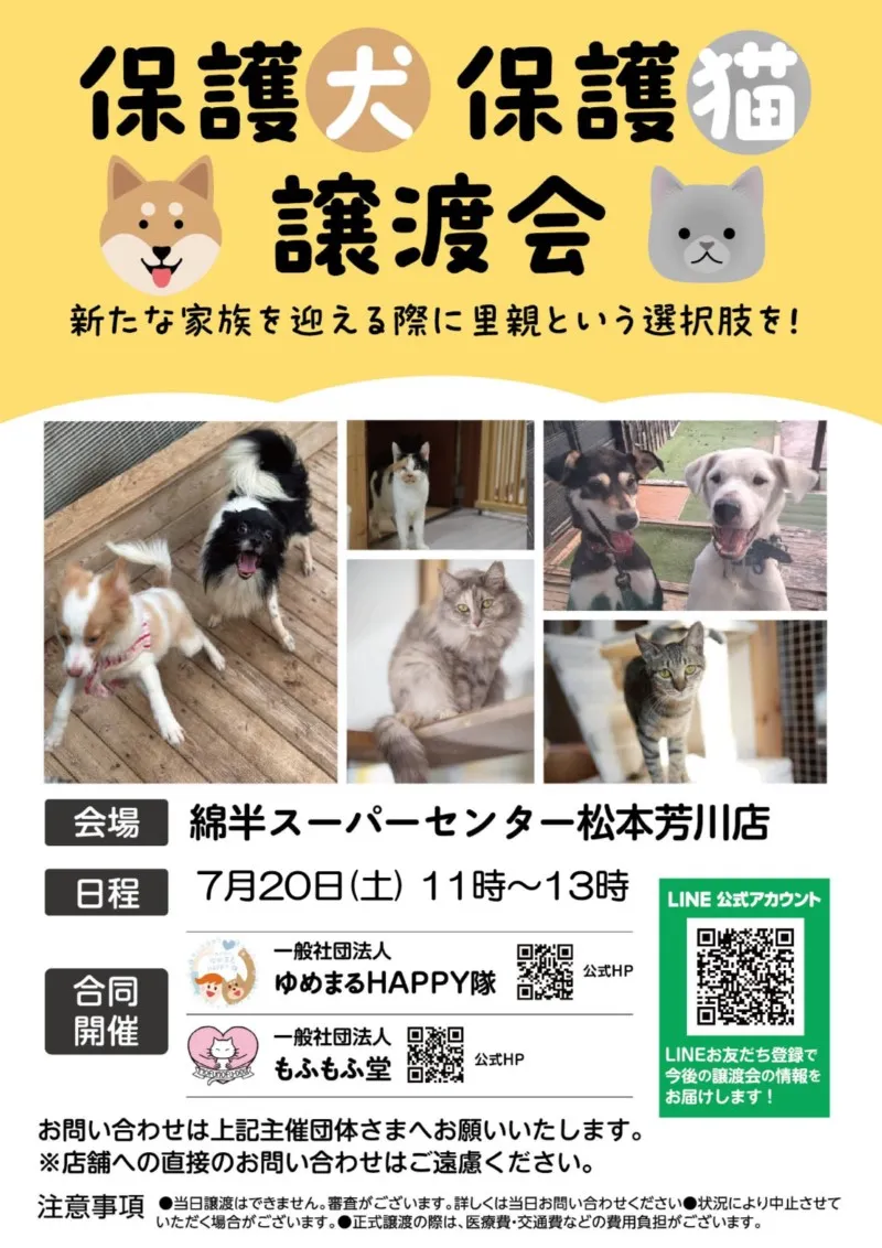 保護犬・保護猫譲渡会＠綿半松本芳川店